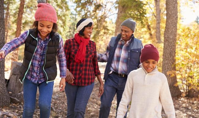 a group of people walking in the woods